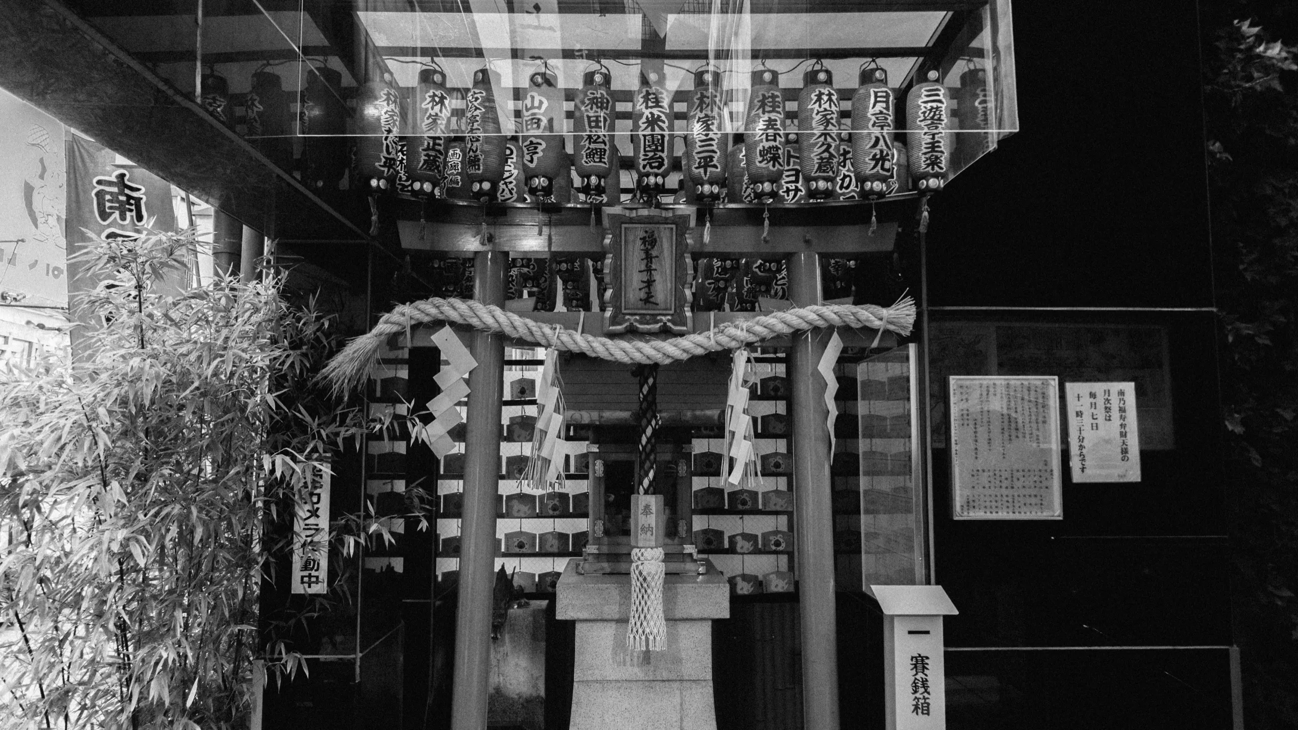 Shrine torii gate