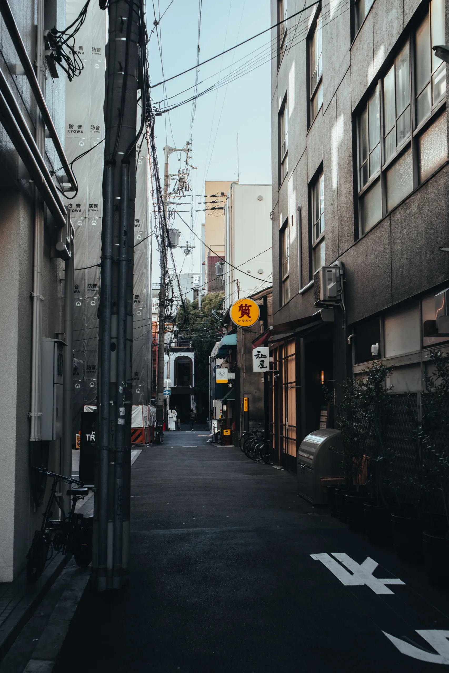 Osaka back alley